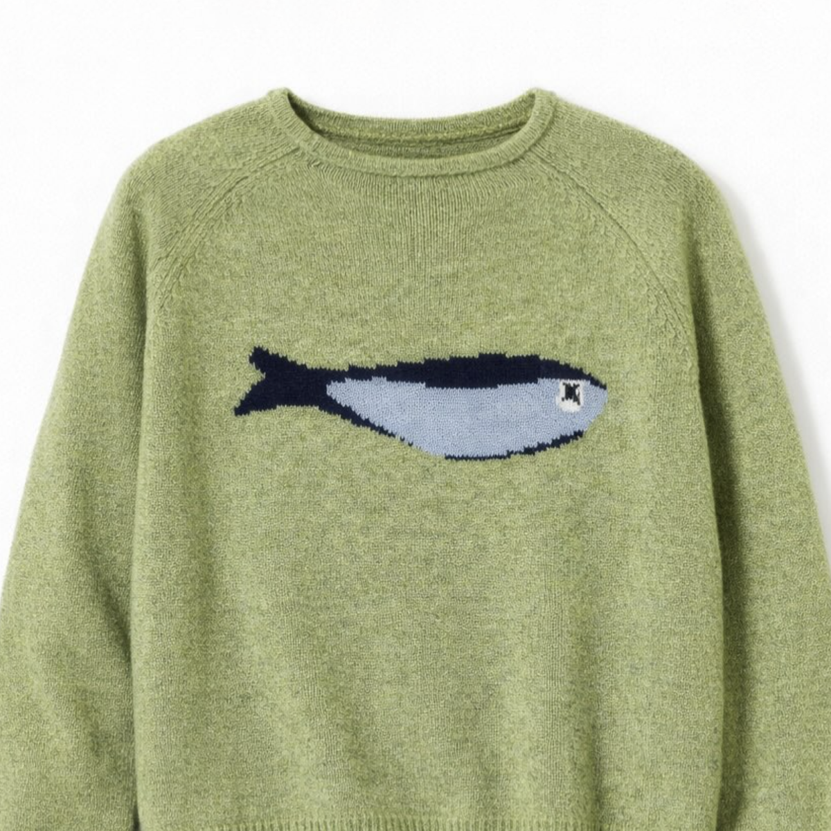 Green sweater with a fish design on a white background