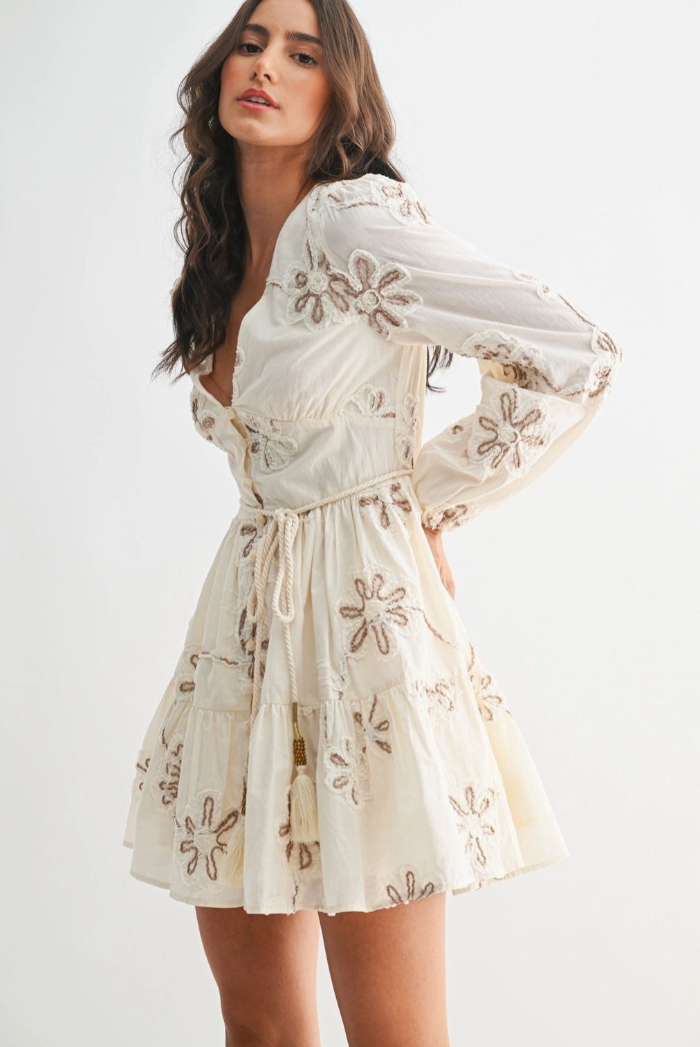 Willow Embroidered Mini Dress